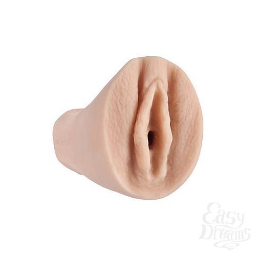 ���������� 2  ������-����������� VIRGIN PALM PAL