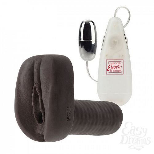 ���������� 2  ���������� ����� � ��������� NAOMI 0885-30 BX SE