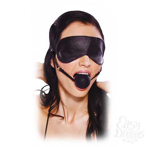  2     Blindfold Ball Gag 