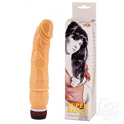 ���������� 1:  �������� ������������� (Toyfa 831004-2)