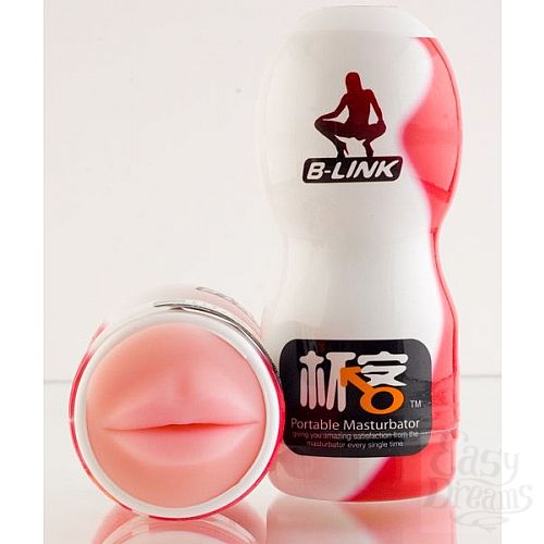 ���������� 1:  ����������� ����������� - ����� � ������� ����� (Toyfa 963007)