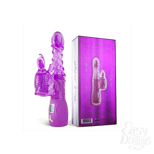  2   ANIMAL DELIGHT     5  