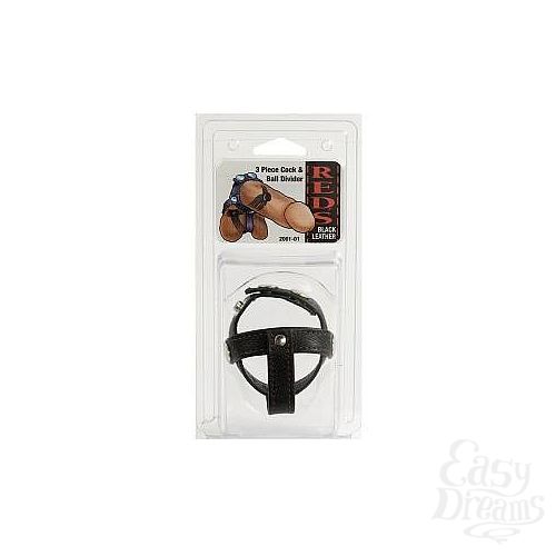 ���������� 1:  ����� �� ����� � ������� 2001-01BXDJ