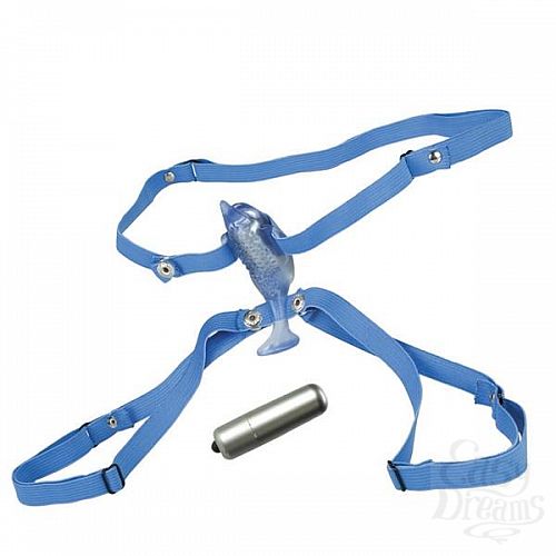 ���������� 2  ������������ ���������� Resonating Micro Dolphin 0613-00BXSE