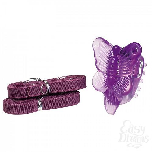  2     Butterfly Adventure Arouser Purple 9295TJ