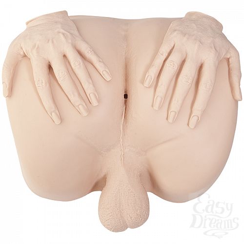 ���������� 2  ����� ������������ WENDY WILLIAMS � �����-����� 5350-01 BX DJ