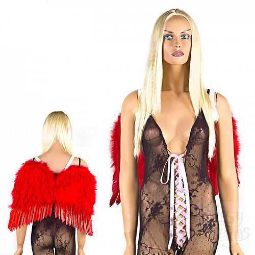 ���������� 1:  ����� ������� ������ �� ������ SWEETHEART WA-RED