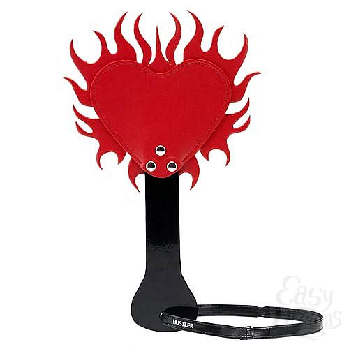 ���������� 1:  ���� � �������� ������� �� ���������� �������