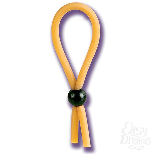 ���������� 1:  ����� �� ����� DR. JOEL KAPLAN