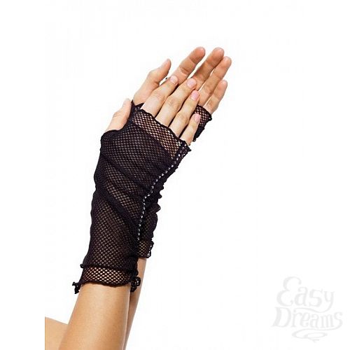 ���������� 1:  ��������