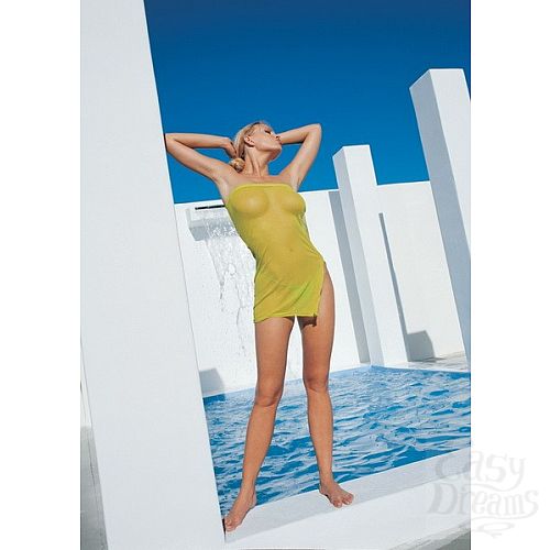 ���������� 1:  ������