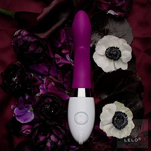 ���������� 1:  �������� Iris, ������� ���������� (LELO), �������