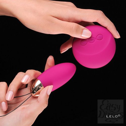  2   hi-tech  Lyla (LELO), 
