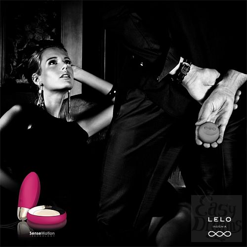  1:   hi-tech  Lyla (LELO), 