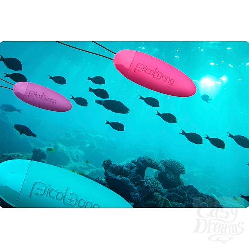 ���������� 1:  ��������� HONI PicoBong (���������� LELO), ��������