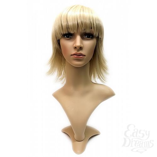 ���������� 2  ����� Steph Wig - �������� ������� ������� �����, �������