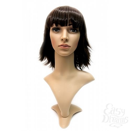 ���������� 3  ����� Steph Wig - �������� ������� ������� �����, �����-����������