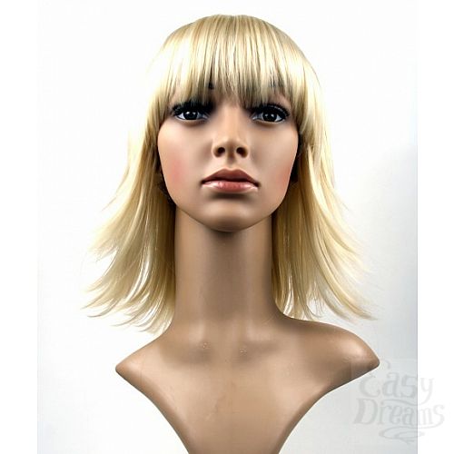 ���������� 6  ����� Steph Wig - �������� ������� ������� �����, �����-����� � ������������