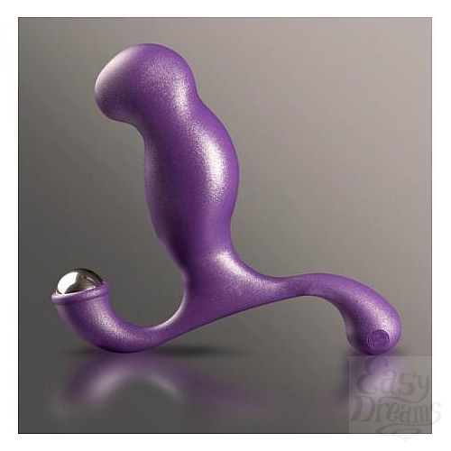 ���������� 1:  ���������� �������� Nexus Exel Purple E004