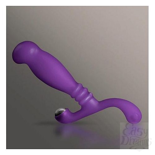 ���������� 1:  ���������� �������� Nexus Glide Purple G004