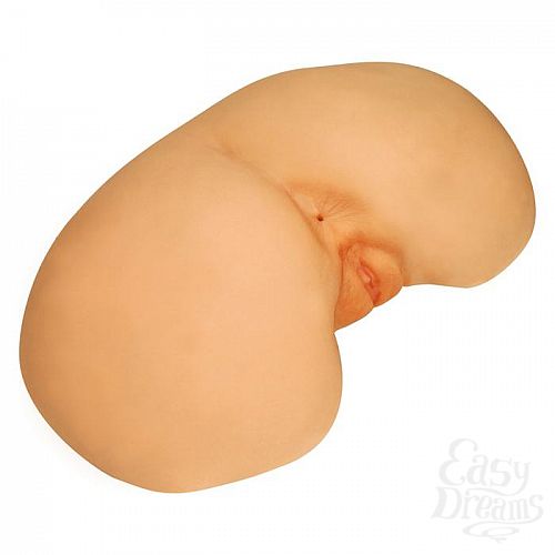 ���������� 1:  �������������� ������ � ���� Bree Olson 1487697TS