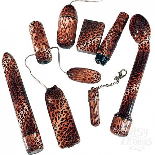 ���������� 1:  ���� �������� P91