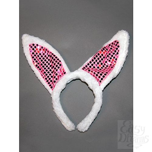 ���������� 1:  ��� ������� ������� 02341OS