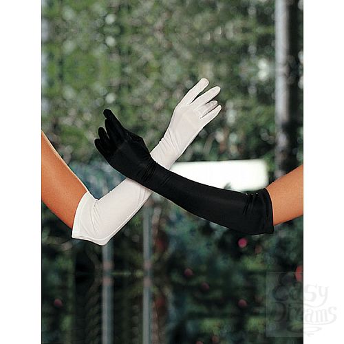 ���������� 2  ������� �������� ��������