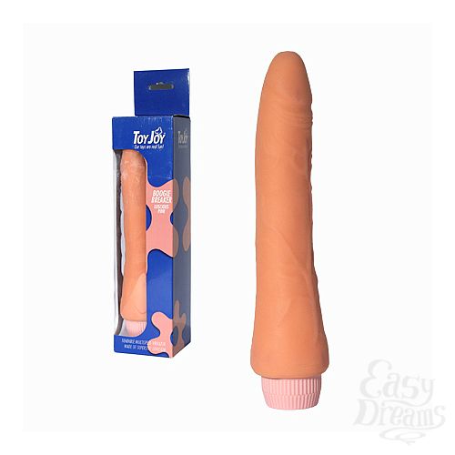 ���������� 1:  ��������