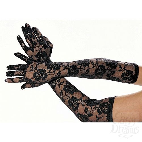 ���������� 2  ������� ��������� ��������