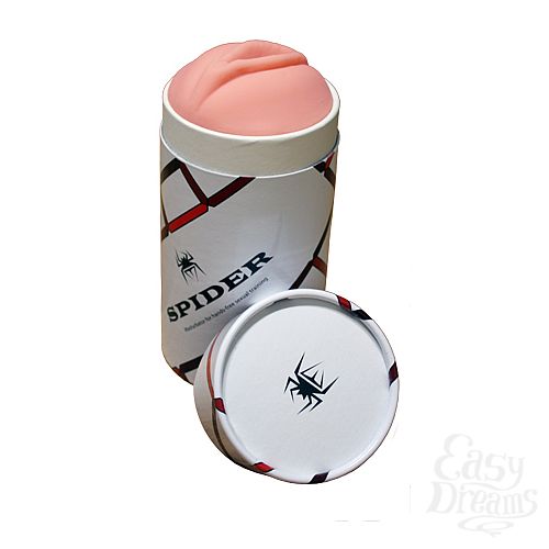 ���������� 1:  ����������� Spider Realism ������