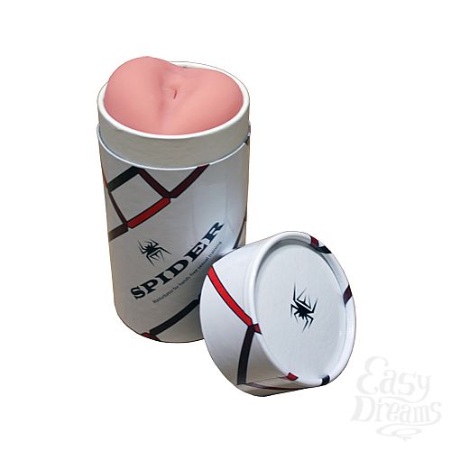 ���������� 1:  ����������� Spider Backside ����