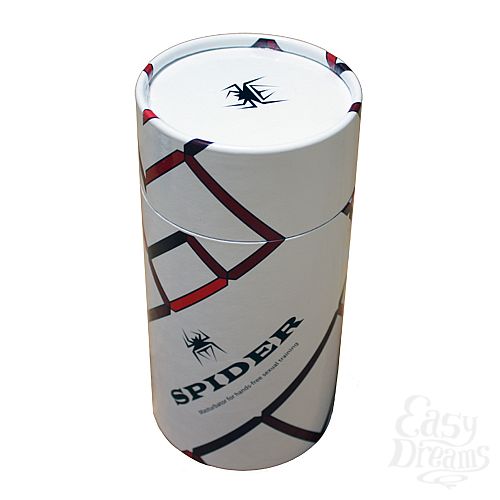 ���������� 2  ����������� Spider Backside ����