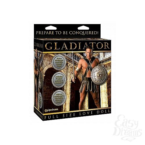 ���������� 1:  ����� � ��������� GLADIATOR 351800PD