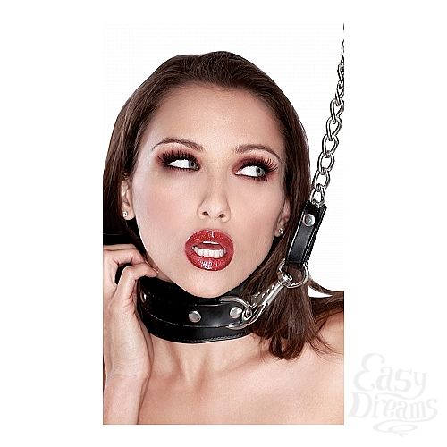  2   FF EXTREME HEAVY DUTY LEASH 364323PD