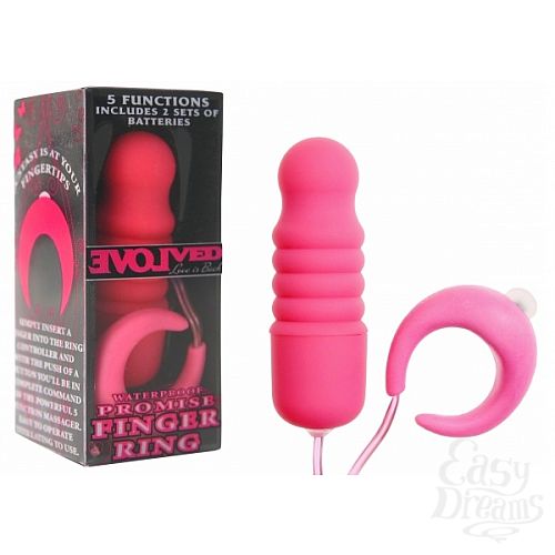 ���������� 2  5-�������������� �������� � ������� PROMISE