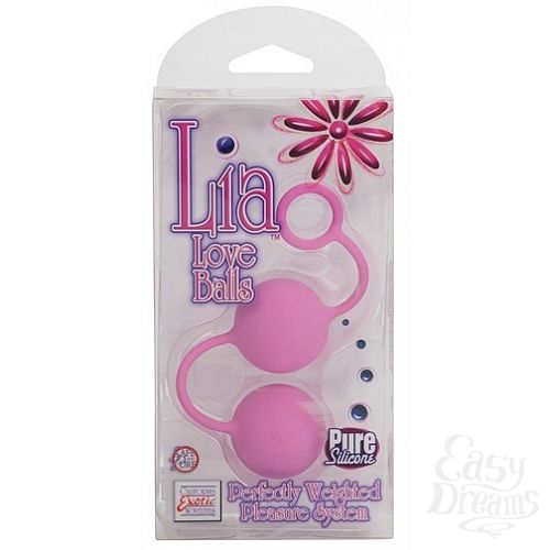 ���������� 2  ����������� ������ � ����������� �������� LIA UKRN