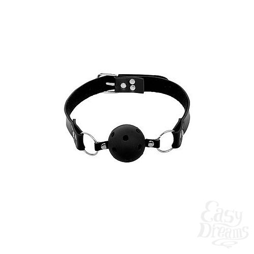 ���������� 6  ����� �� 5 ��������� First Time Fantasy Kit