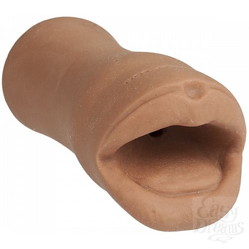 ���������� 1:  ������� ��������� ����� NOCHES LATINAS 