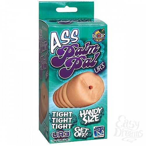 ���������� 2  �������� ����-����������� PALM PAL 