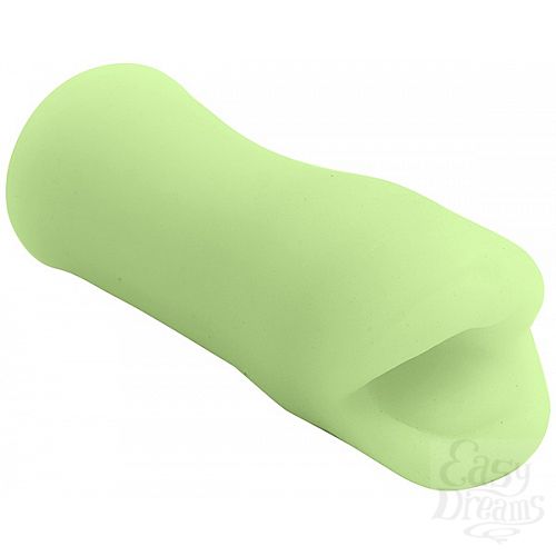 ���������� 1:  ���������� �����-����������� PALM PAL ���������