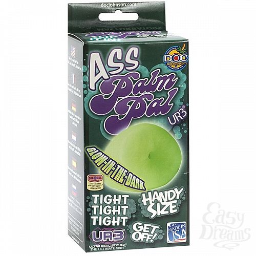 ���������� 2  ���������� ����-����������� PALM PAL 