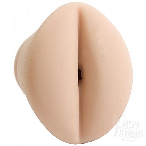 ���������� 1:  ������� �����������-����� � ���������� �������� COCK-PIT