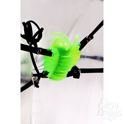 ���������� 1:  ������������ �������� VIBRO WINGS�