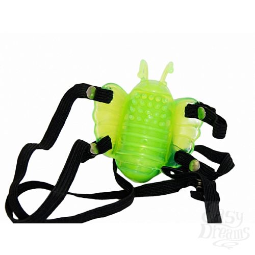 ���������� 2  ������������ �������� VIBRO WINGS�