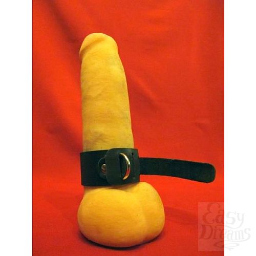 ���������� 1:  ����� �� ������