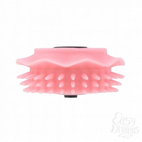 ���������� 2  ������� ��� ������������ Sqweel - Sqweelers Tingle