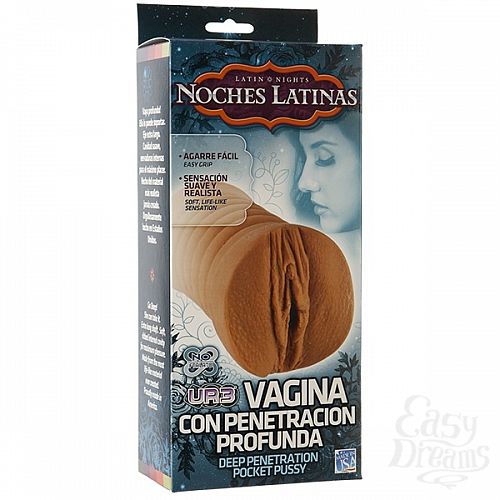 ���������� 2  ������������ �����������-������ NOCHES LATINAS