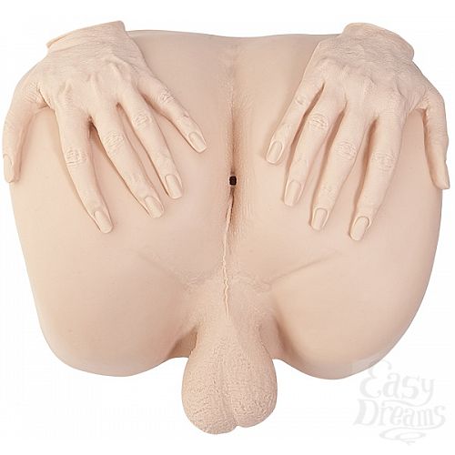 ���������� 1:  ���� ������������ WENDY WILLIAMS � �����-�����