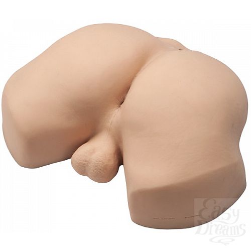 ���������� 1:  ������������ ������� ����� c �������� FRANCOIS SAGAT 